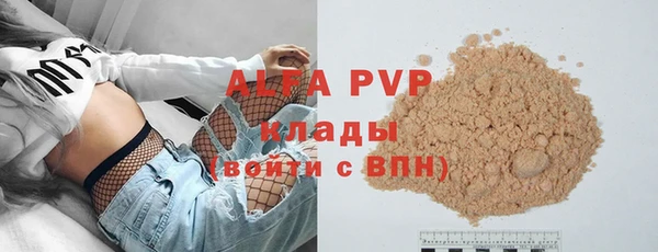 стаф Алексин