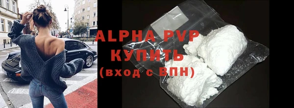 стаф Алексин