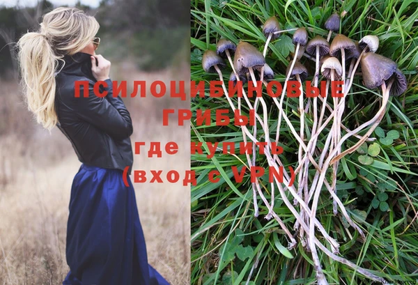 MESCALINE Алзамай