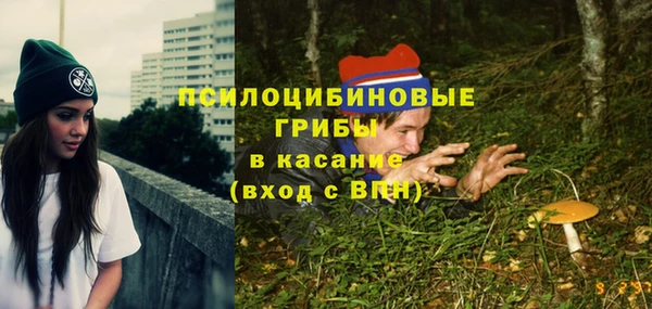 ГАЛЛЮЦИНОГЕННЫЕ ГРИБЫ Алексеевка
