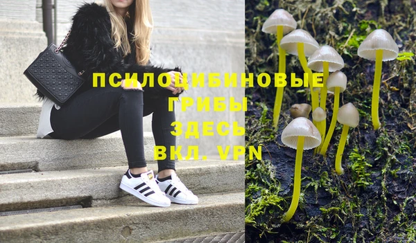 MESCALINE Алзамай