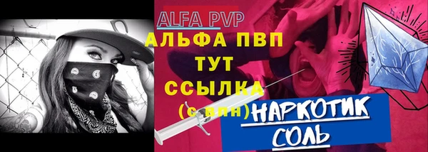 стаф Алексин