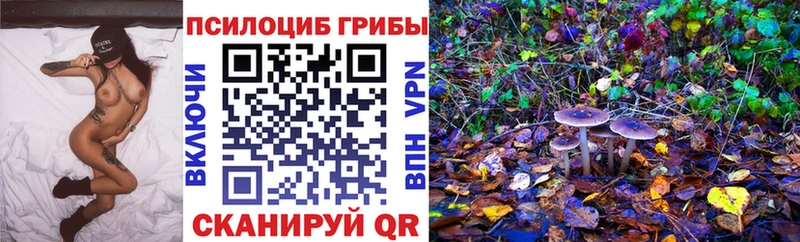 Галлюциногенные грибы мухоморы  где купить наркотик  Луза 